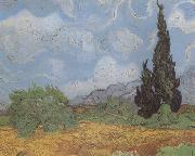Vincent Van Gogh Wheat Field with Cypresses (nn04) china oil painting artist